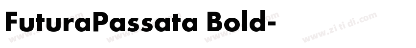 FuturaPassata Bold字体转换